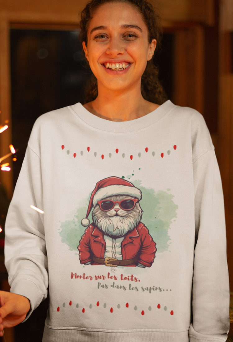 Gatto di Babbo Natale